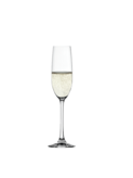 Champagneglass Salute 21cl